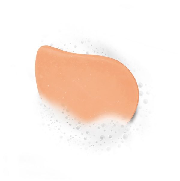 Fructis Shampoo Sólido Hair Food Sandia 60 gr